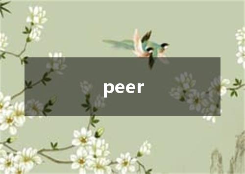 peer是什么意思