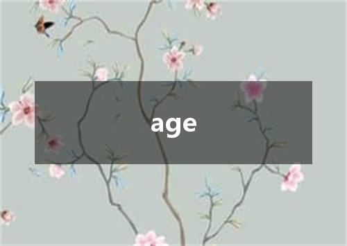 age是什么意思