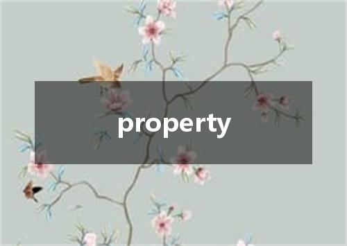 property是什么意思