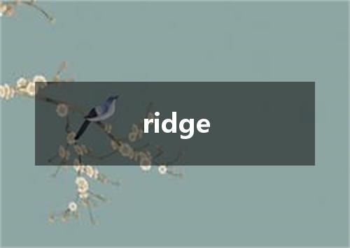 ridge是什么意思