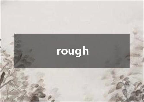 rough是什么意思