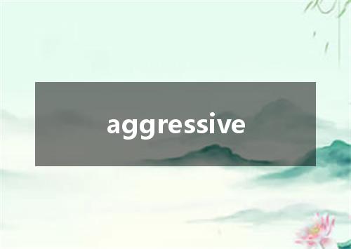 aggressive是什么意思