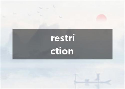restriction是什么意思