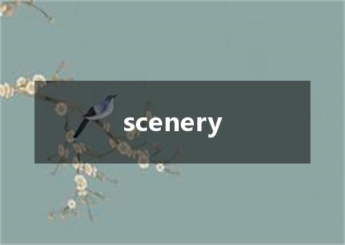 scenery是什么意思