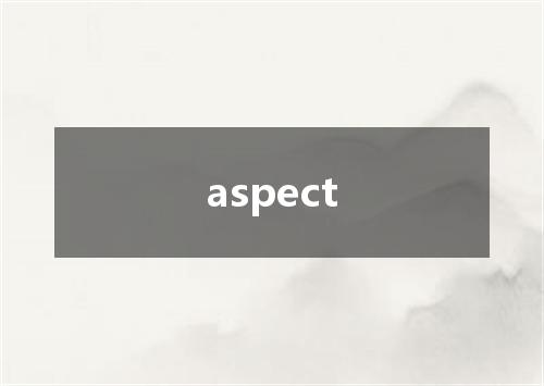 aspect是什么意思