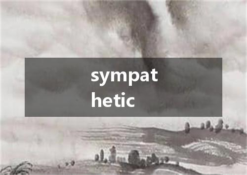 sympathetic是什么意思