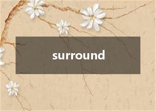 surround是什么意思