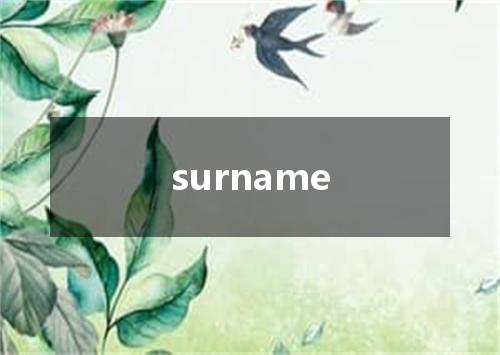 surname是什么意思