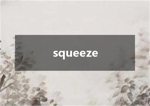 squeeze是什么意思