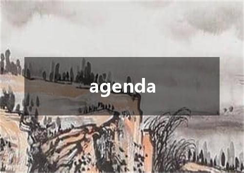agenda是什么意思