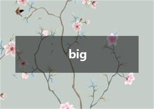 big是什么意思