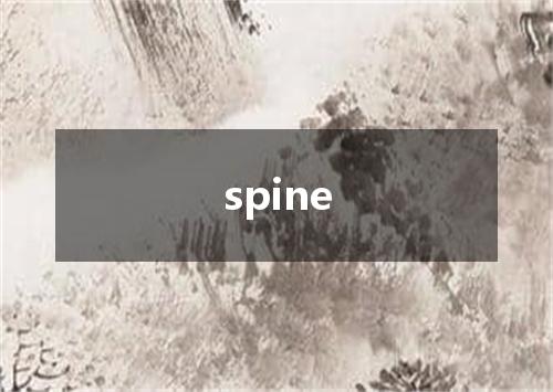 spine是什么意思