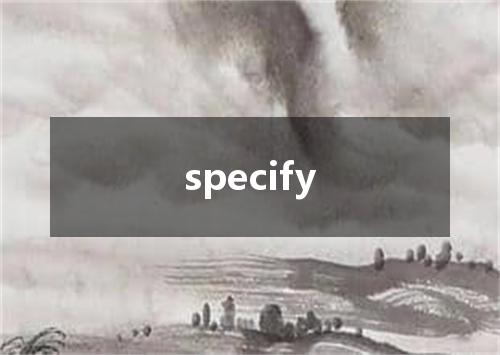 specify是什么意思
