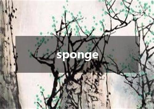sponge是什么意思