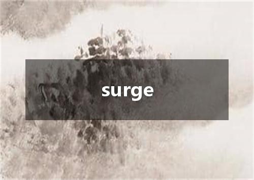surge是什么意思