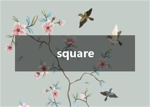 square是什么意思