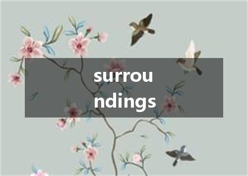 surroundings是什么意思