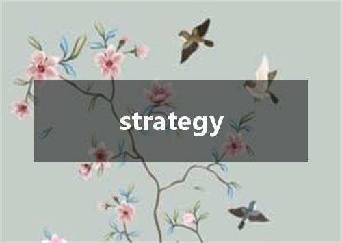 strategy是什么意思