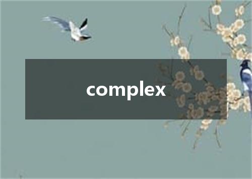complex是什么意思