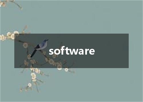 software是什么意思