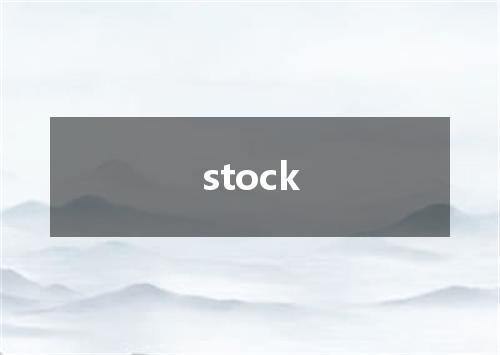 stock是什么意思