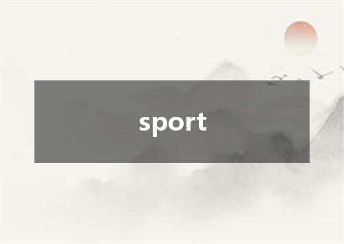 sport是什么意思