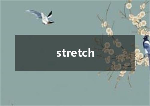 stretch是什么意思