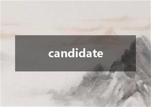 candidate是什么意思
