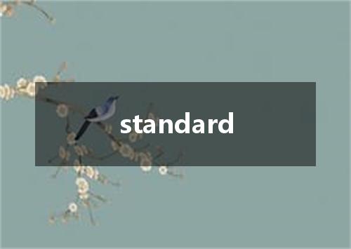 standard是什么意思