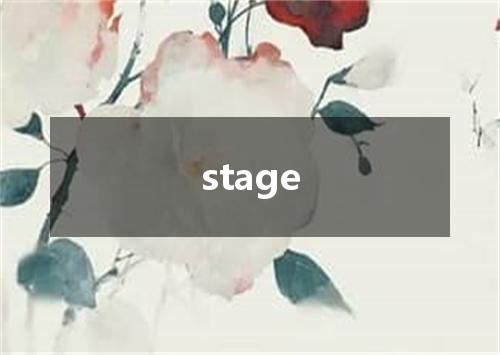 stage是什么意思
