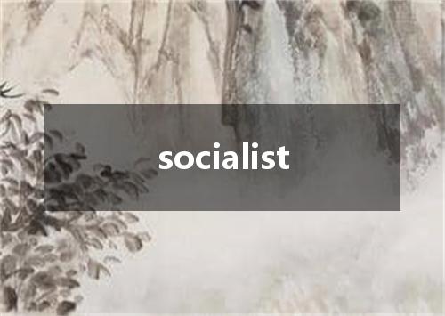 socialist是什么意思