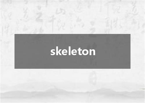 skeleton是什么意思