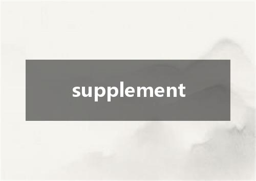 supplement是什么意思