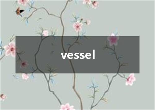 vessel是什么意思