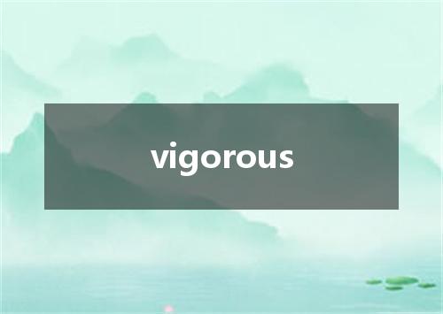 vigorous是什么意思
