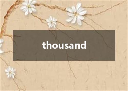thousand是什么意思