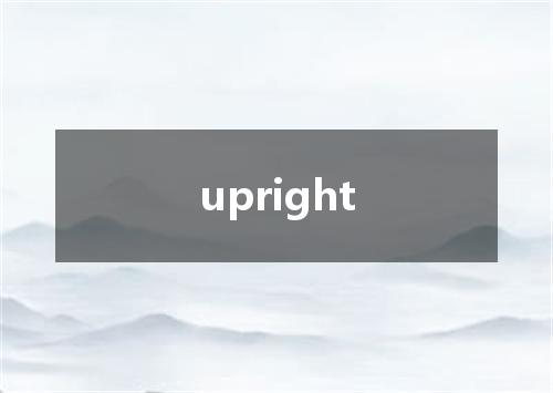 upright是什么意思