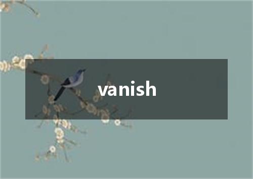 vanish是什么意思