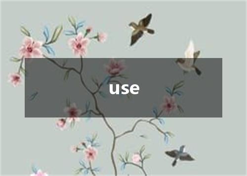 use是什么意思