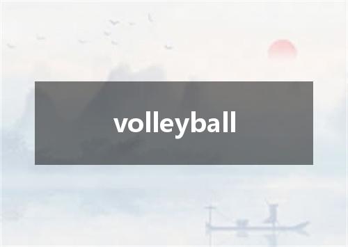 volleyball是什么意思