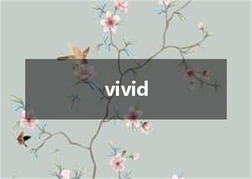 vivid是什么意思