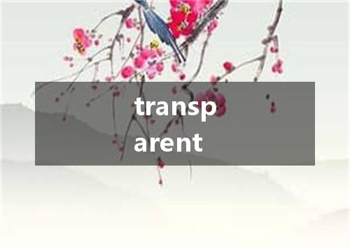 transparent是什么意思