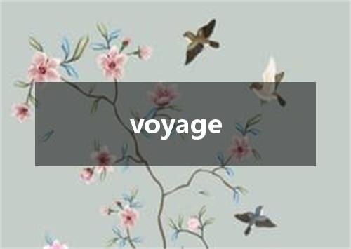 voyage是什么意思