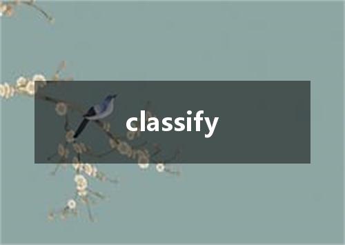 classify是什么意思