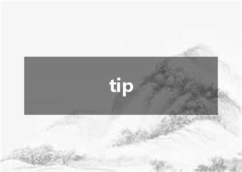 tip是什么意思