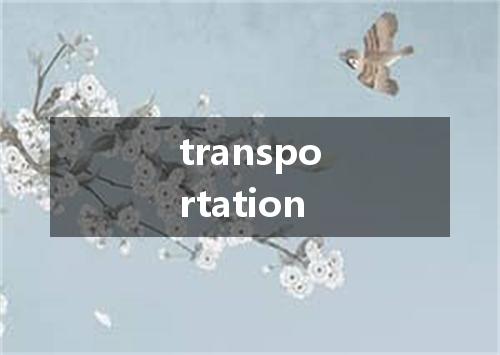 transportation是什么意思