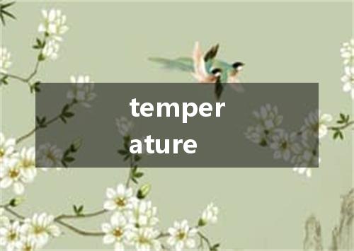 temperature是什么意思