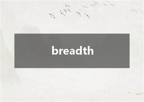 breadth是什么意思