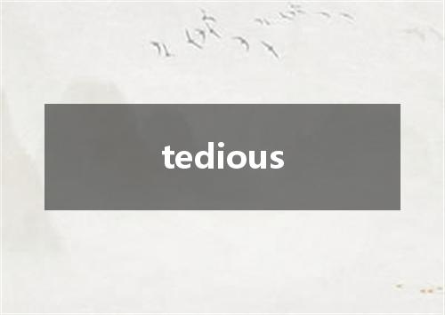 tedious是什么意思