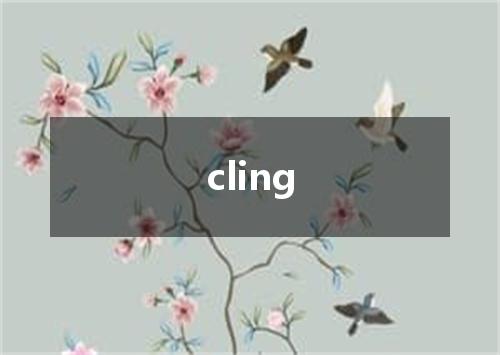 cling是什么意思